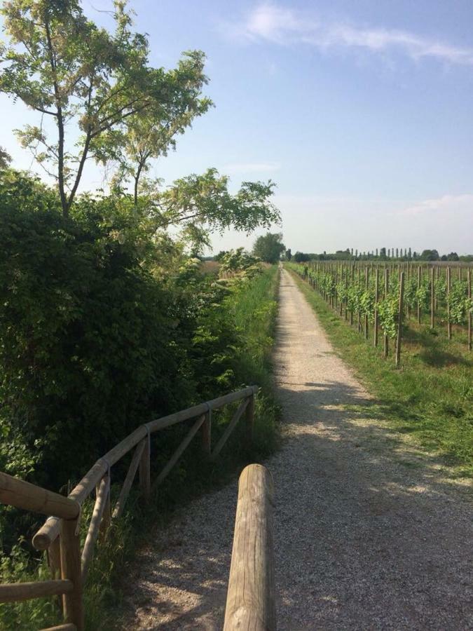 Villa Paolo San Donà di Piave Eksteriør billede