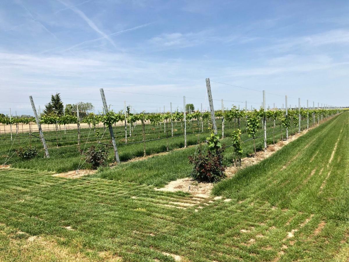 Villa Paolo San Donà di Piave Eksteriør billede