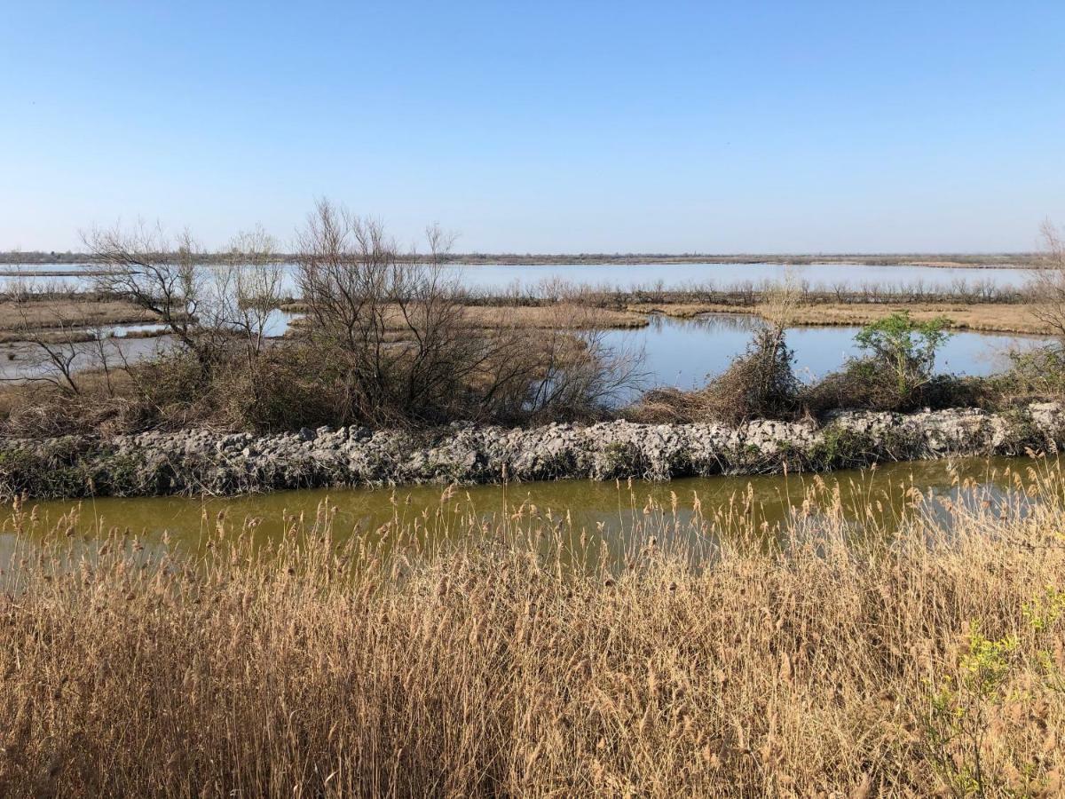 Villa Paolo San Donà di Piave Eksteriør billede